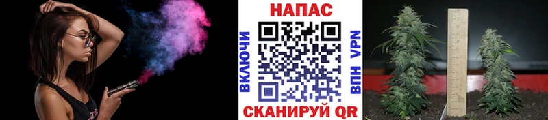 закладки  Суворов  МАРИХУАНА AK-47 